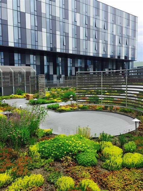 Green Roofs For Healthy Cities Releases Grey To Green Designing For