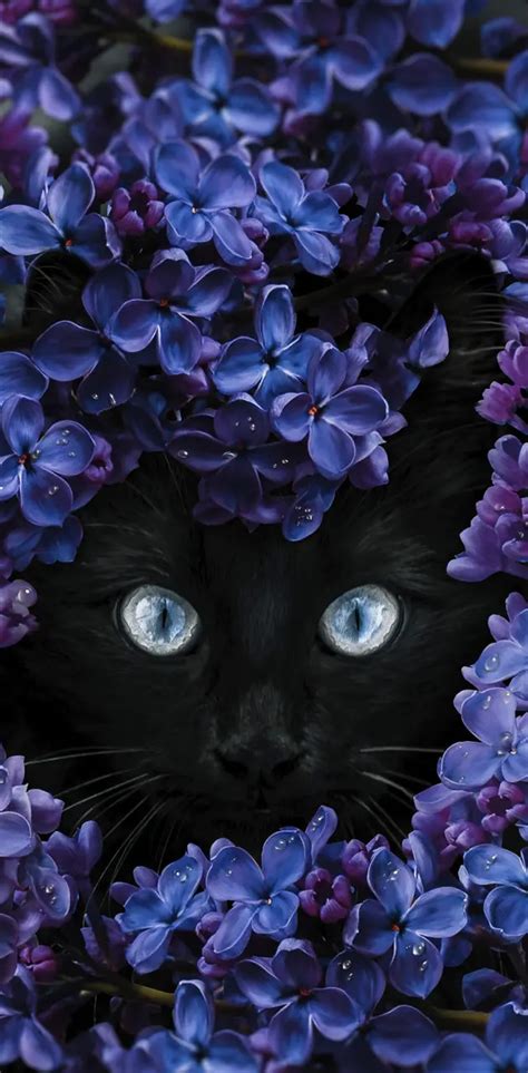 Funny Cat Wallpaper By Georgekev Download On Zedge 1ad1