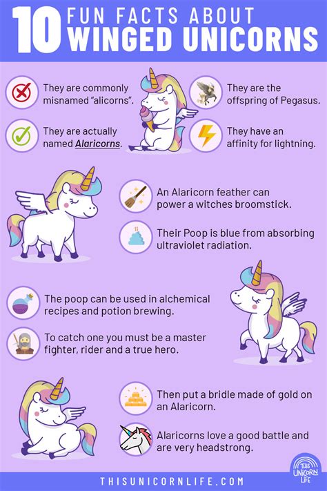 10 Fun Facts About Winged Unicorns Infographic Infographic Plaza