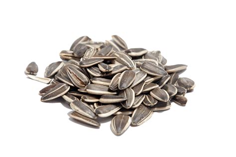 Black Sunflower Seeds Png Hd Quality Png Play