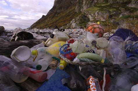 6 Most Common Sources Of Plastic Pollution