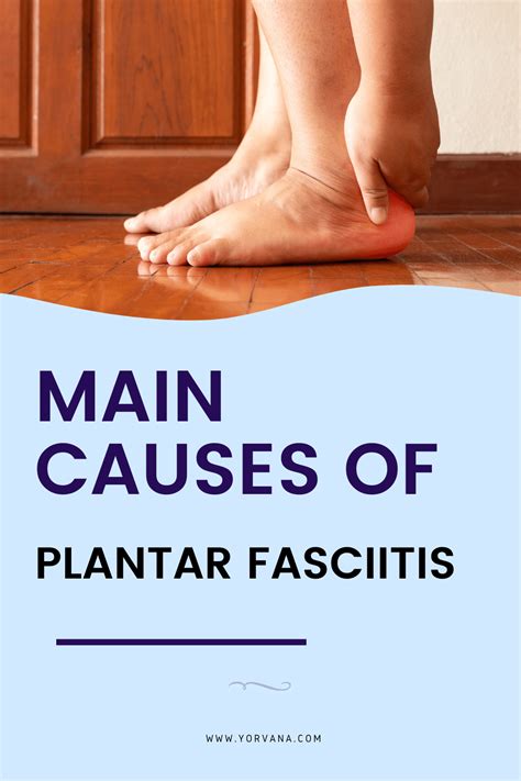 9 Best Foot Massagers For Plantar Fasciitis Must Read 2020 Plantar Fasciitis Foods For