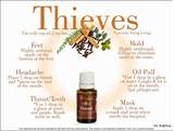 Young Living Thieves Oil Photos