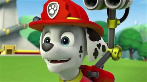 Paw Patrol New Pup 2015 Youtube