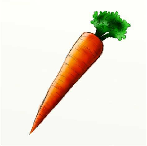 Https://tommynaija.com/draw/how To Draw A Carrot