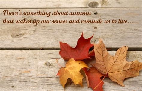 Inspirational Quotes For Fall Season Quotesgram