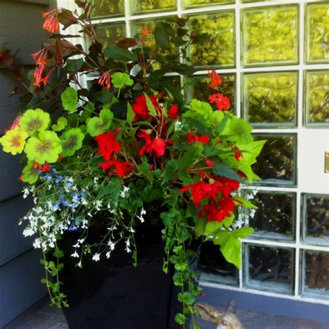 Maybe you would like to learn more about one of these? 17 Best images about Hanging Baskets & Shade Planters on ...