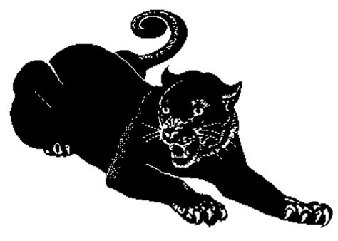 Panther Drawing Clipart Clipartix