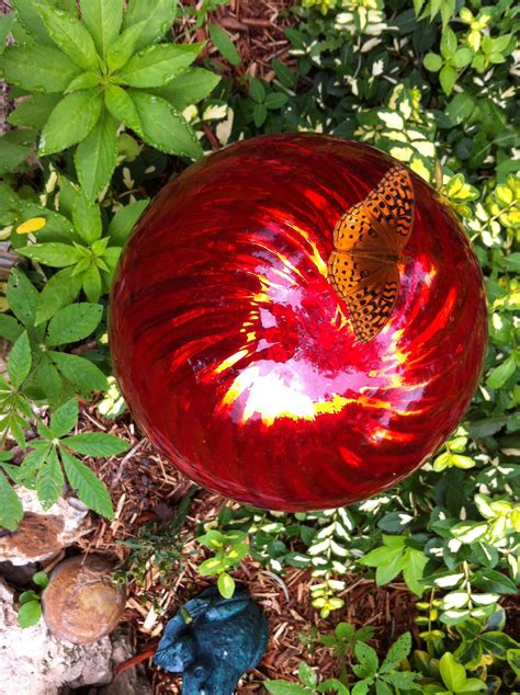 You'll find hundreds of plants that attract them. Butterfly | Flower garden, Flowers, Garden