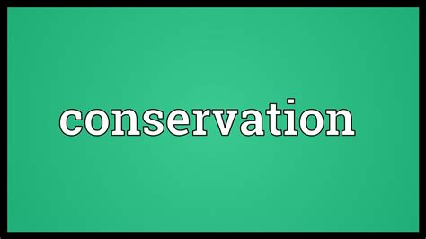 When an elderly individual loses the capacity to rationally manage their finances, a judge can appoint a conservator to step in and take control of their assets. Conservation Meaning - YouTube
