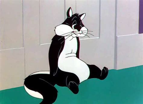 Penelope Pussycat Looney Tunes Looney Tunes Amazing S Animation