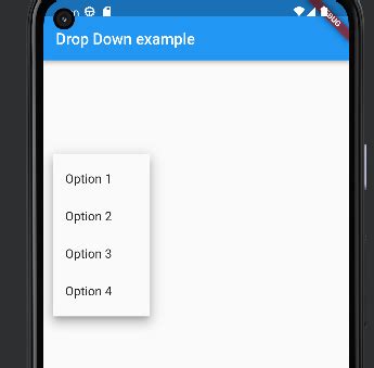 Dropdown In Flutter Implement DropDown Using Getx Provider BLoC