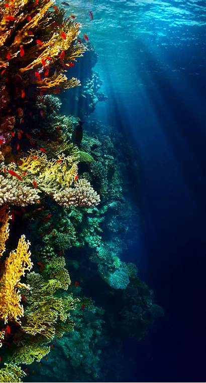 Underwater Phone Iphone Reef Coral Ocean Wallpapers
