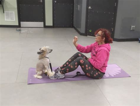Fitness With Fido Home Facebook