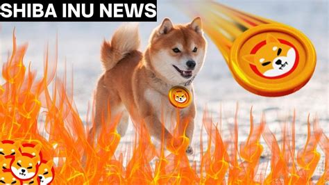 SHIBA INU TOKEN GETS NEW UPGRADE NEW UPDATE GET READY FOR SHIB