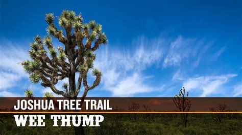 Joshua Tree Wilderness Wee Thump Nevada Las Vegas Hiking Guide
