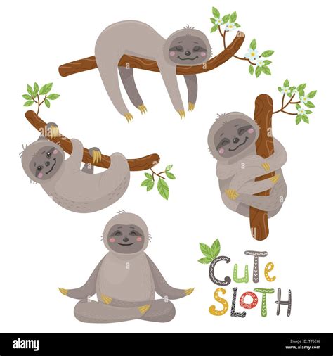 Set Of Cute Sloths Character In Various Positions Vector Illustration