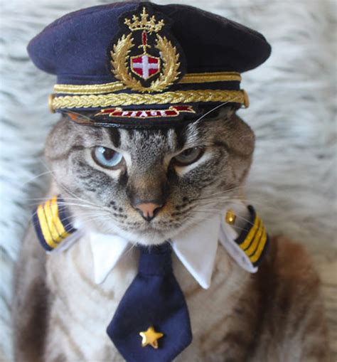 Catster Interview We Talk To The Cat Clothing Experts At