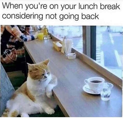 We did not find results for: When you're on your lunch break considering not going back ...