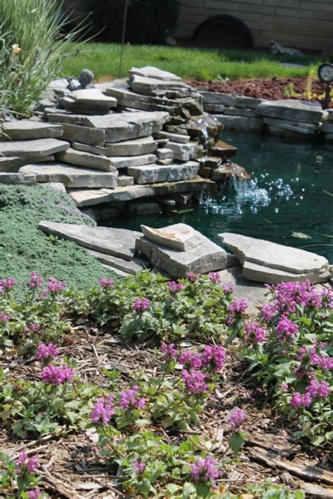67 Cool Backyard Pond Design Ideas Digsdigs
