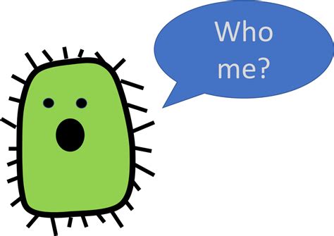 Gut Bacteria And Type Ii Diabetes Bacteria Clipart Full Size