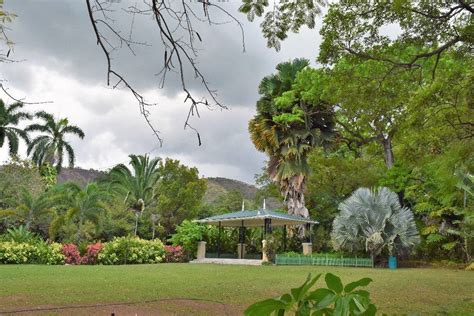 Jamaica Hope Botanical Gardens Fasci Garden