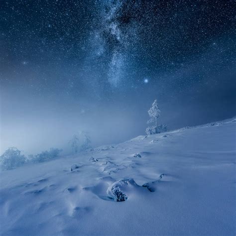 Frozen World By Mikkolagerstedt On Deviantart