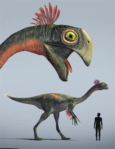 Gigantoraptor Pictures And Facts The Dinosaur Database