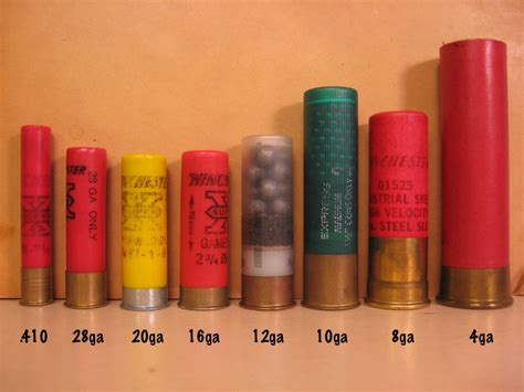 The pellet count in shotgun shells is useful information for hunters and reloaders. Ammo and Gun Collector: Shotgun Shell Gauge Size Comparison