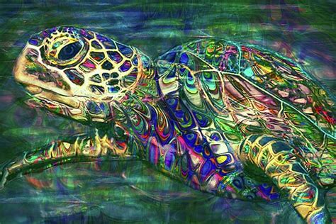 Tropical Sea Turtle 2 By Jack Zulli Turtle Painting Sea Turtle Turtle
