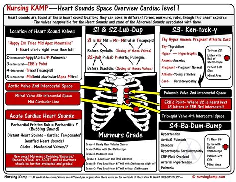 Heart Sounds Level 1 S1 S2 S3 S4 Murmurs Nursing Notes Heart Sounds