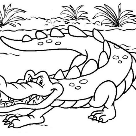 Nine Fun And Friendly Crocodile Coloring Pages Mitraland