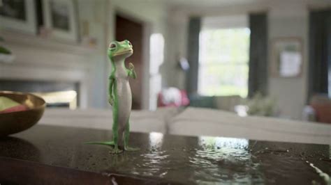 Geico Tv Spot The Gecko Finds A Pool Party Ispottv
