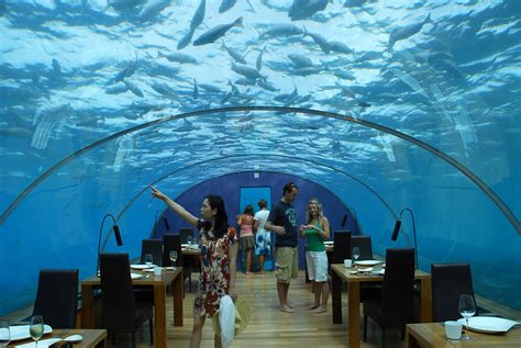 Ithaa Underwater Restaurant 이타 수중 레스토랑