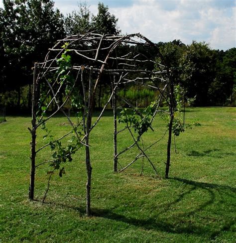Thanks for the info, it's great! Grape arbor | Grape trellis, Grape arbor, Grape growing ...