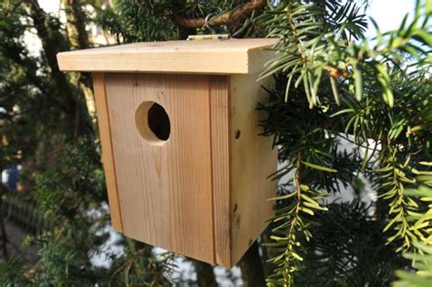 Nistkästen richtig anbringen © sebastian ribits. Nistkasten für Meise, Spatz und Co selber bauen: Anleitung ...