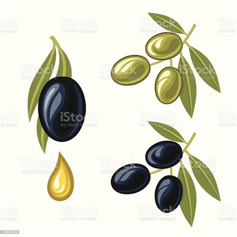 Olives Stock Illustration Download Image Now Istock