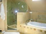 Jacuzzi Tub With Shower