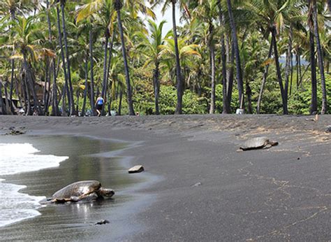 Punaluu Black Sand Beach Park Auf Big Island Hawaii Pacific Travel House