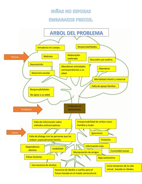 Ejemplo De Arbol De Problemas Y Objetivos Opciones De Ejemplo