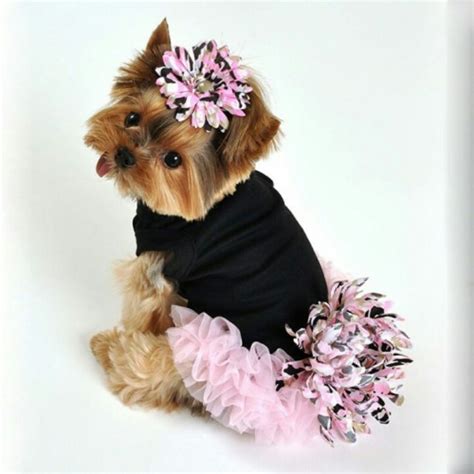 We did not find results for: Teacup Yorkie Clothing Dress The Dog - clothes for your pets!