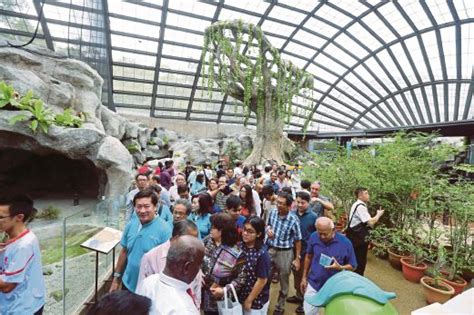 Entopia By Penang Butterfly Farm Expands Its Fascinating