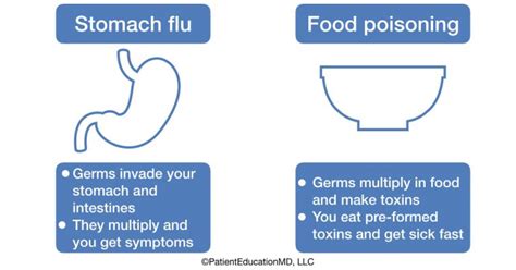 Stomach Flu Vs Food Poisoning Patienteducationmd