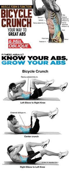 Bicycle Crunch Bicycle Crunch Bicycle Crunches Workout Guide Core