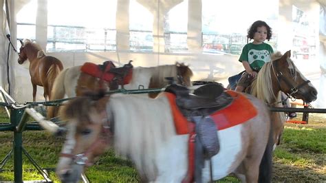 Pony Ride County Fair YouTube