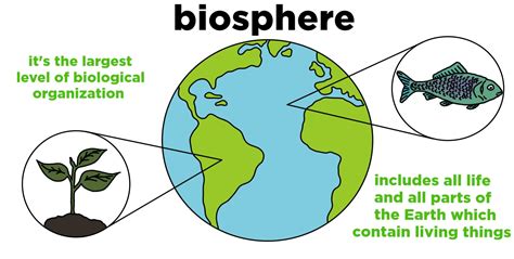 Biosphere — Definition And Importance Expii
