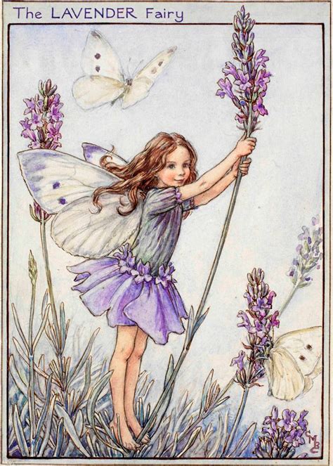 The Lavender Fairy Flower Fairies
