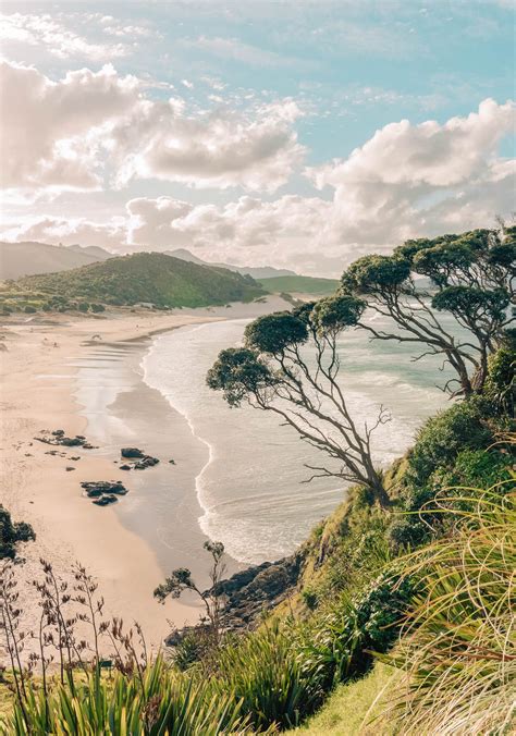 10 Best Hikes In New Zealand - Hand Luggage Only - Travel, Food & Photography Blog