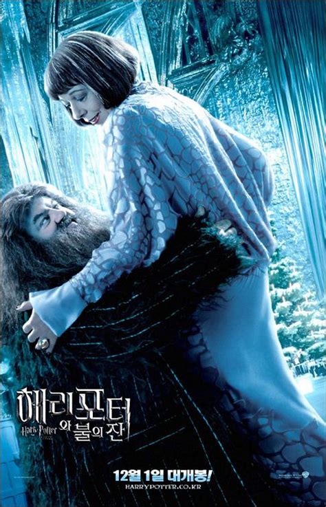 Watch harry potter and the goblet of fire (2005) hindi dubbed from player 1. Harry Potter and the Goblet of Fire Movie Poster (#31 of ...
