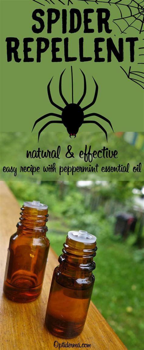 Yes, essential oils can really work wonders to keep spiders away. You don't like spiders? Try this natural spider repellent ...